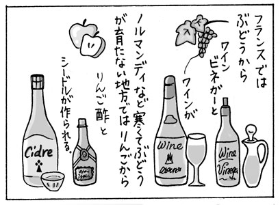 お酢とお酒は同じものから作られる2.jpg